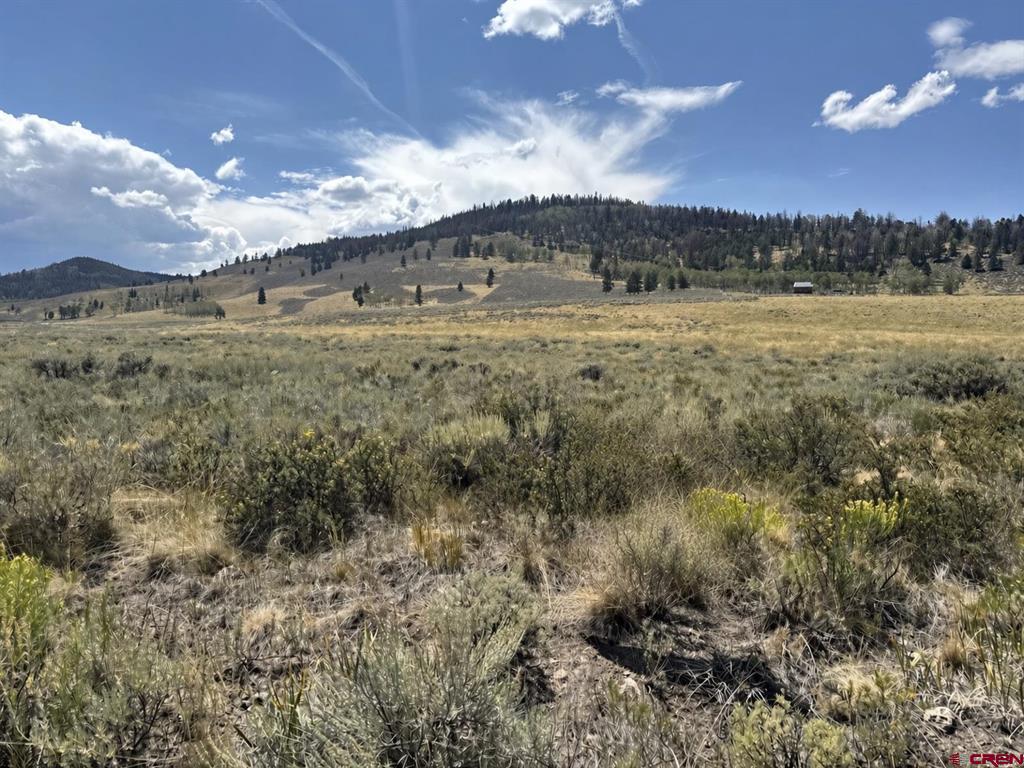 Mountain meadow at 100 Monarch Road